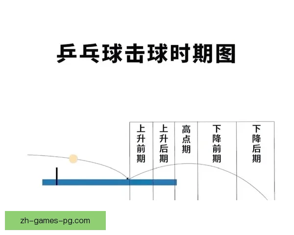 全面指导，助你技压群芳：乒乓球教学视频大揭秘