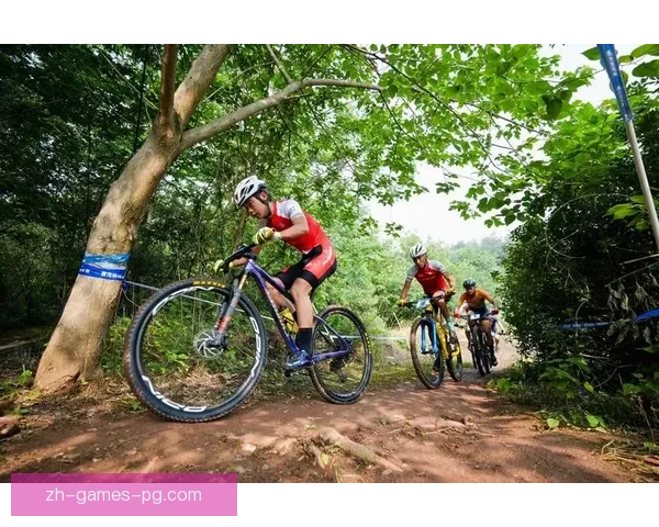 尽享山地骑行激情：挑战自我，勇夺荣耀
