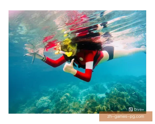 泳池畅游，水下探秘：游泳直播带你领略汪洋大海的奇妙世界