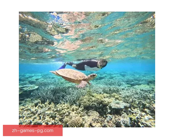 潜入深海：畅游游泳直播新世界