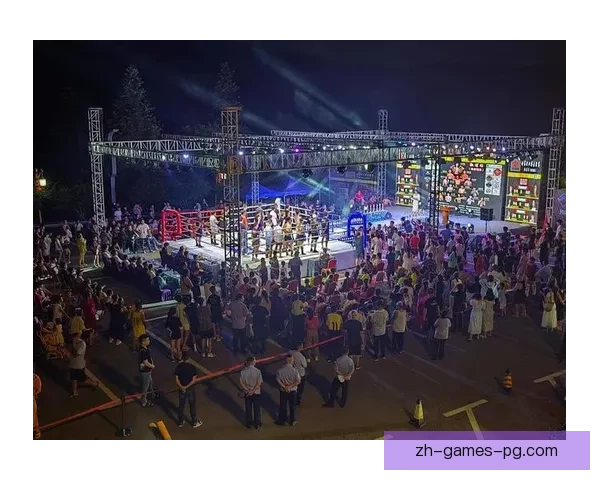 激情回放：拳击壮举瞬间重现