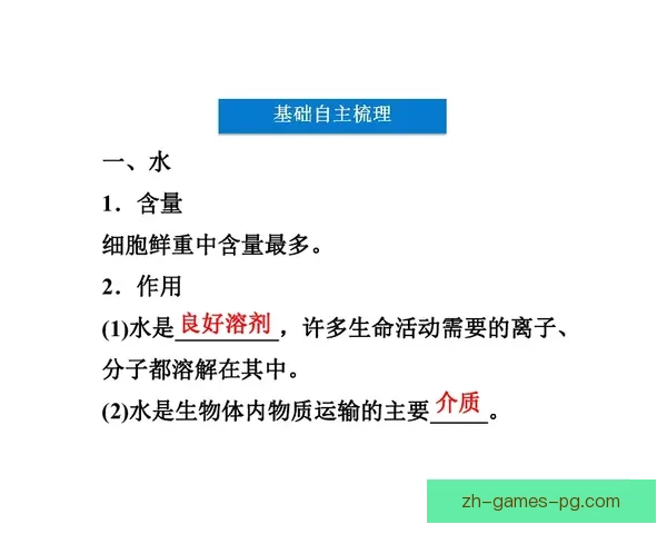 越野跑对战策略分析及优化建议